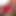WantingFlag6