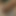 Theyogi64