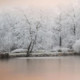 Willi_Weber