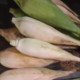 Adchakma