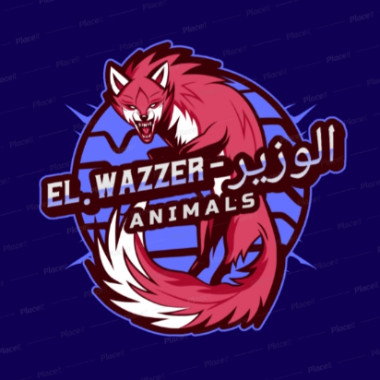 ELwaZzeR_2021