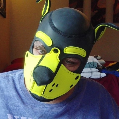 Gatorpupboy
