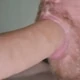 NorwegianCumSlut