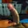 Edpalley