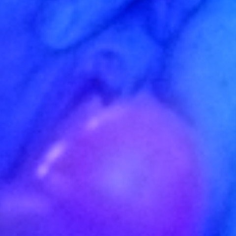 Margyfist
