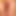 veryshyguy81