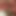 Myfaceinyourcunt