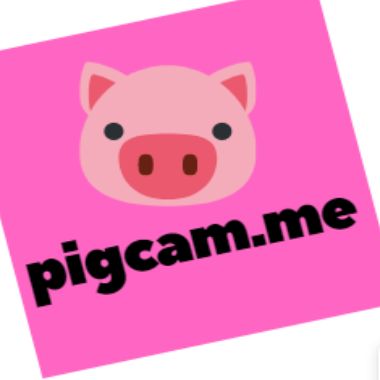pigcam