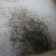 Habeho