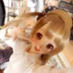 Loli_dollfie_master