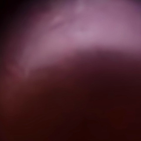Dingdum2