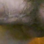spillo161