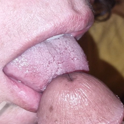 Leymar28