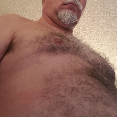 HairyBearDaddy