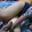 Dickpiercing89