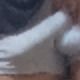 Ahmedtito741