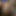 blackcock_sfm