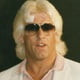 thenatureboyricflair