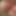bbwhollycd
