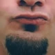 Kriswho