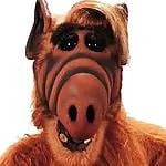 gordon_alf