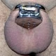 mrsoumise