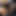 Shamefulrelease