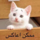 amatureloveever