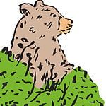 grizzlybear88