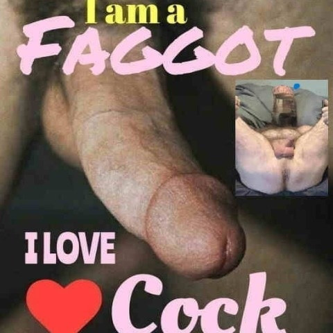 gayste61