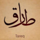 TarekMahmoud640