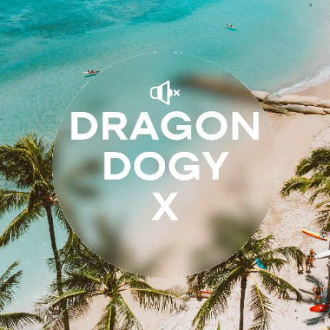 DRAGON_Dogy_X
