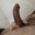 theboss96