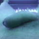 nonobodylg