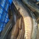 ruman507