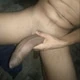 Ustaad5911