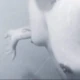 Shymom69