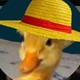 Ramansider