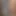 Here4_porn