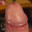 Redhaed2