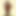 hottentot_venus2