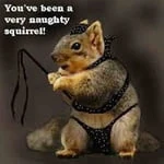 earlthesquirrel