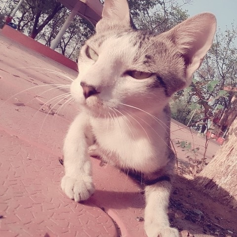 iamMaddy7777