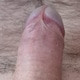 brummelbaer46