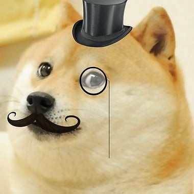 HolyDoge