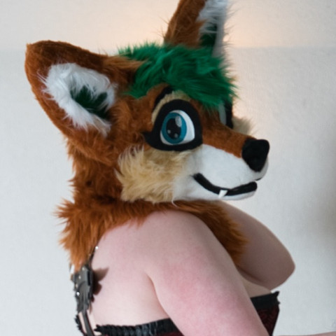 furry-foxxy