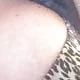 sandraanndre