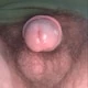 Klaasje11
