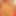 Miniature_Human