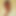 nyea08191964